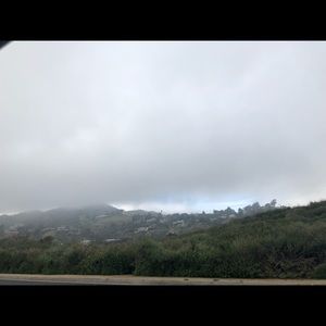 Meet your Posher, Edith